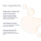 Hydrating Toner 7 oz